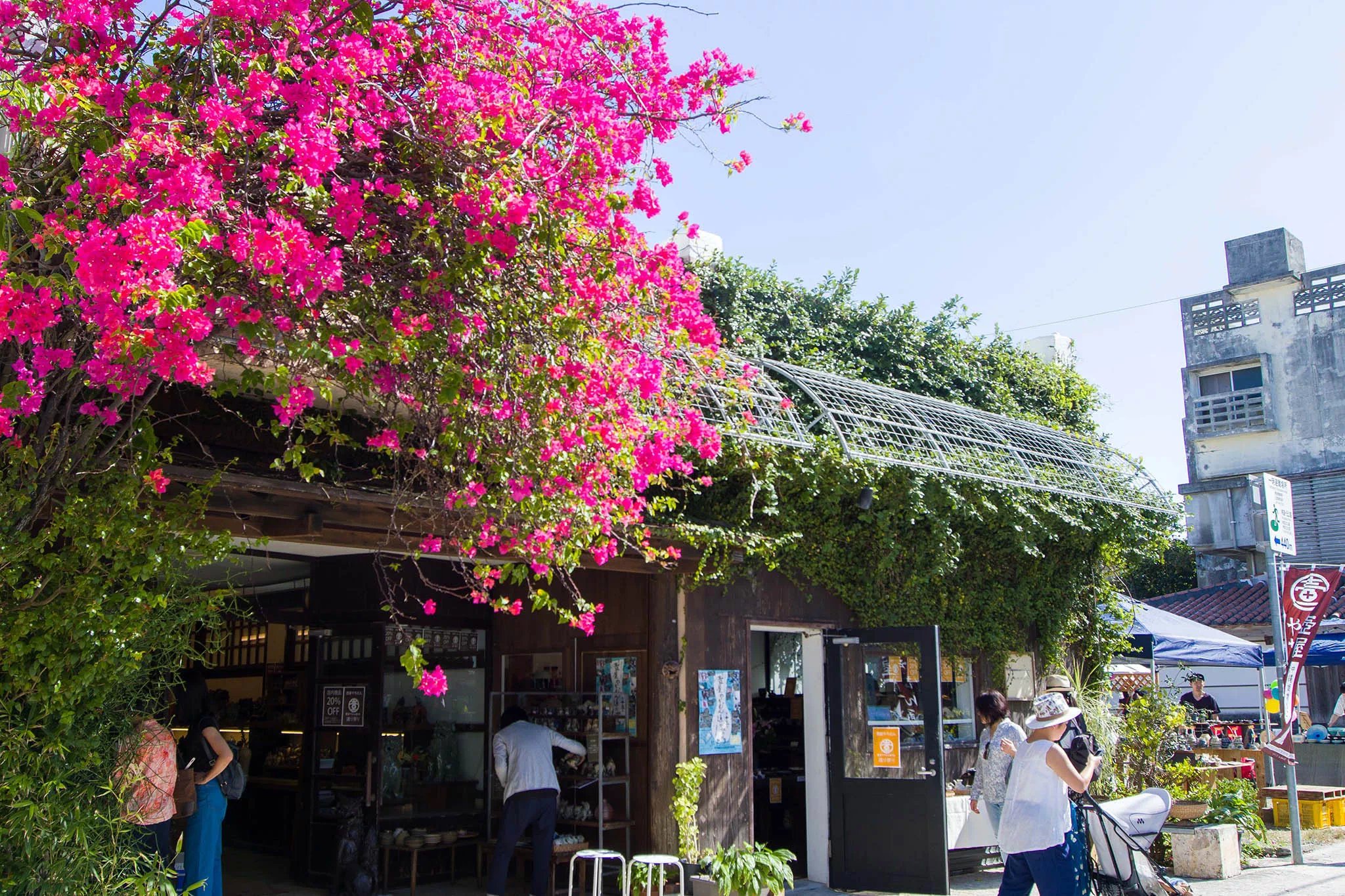 🍰 키바나의 숲(츠보야 키바나노모리) 이미지 7